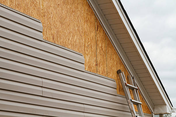 Professional Siding Repair technician working in Glyndon, MN
